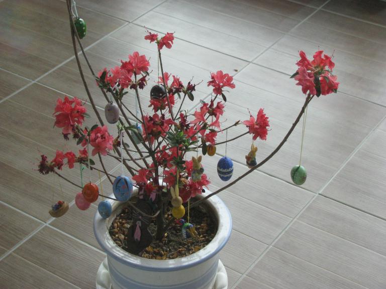 사진 006.jpg