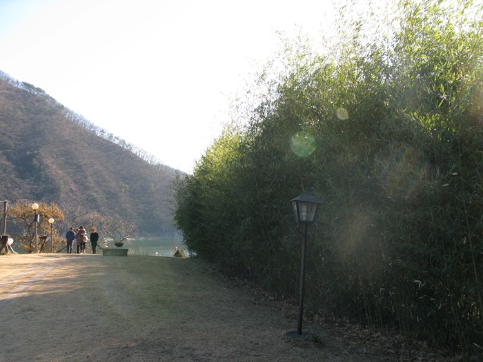 IMG_2374.JPG