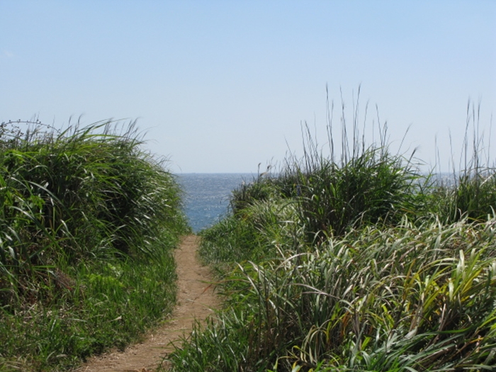 2009벌초IMG_2353.JPG
