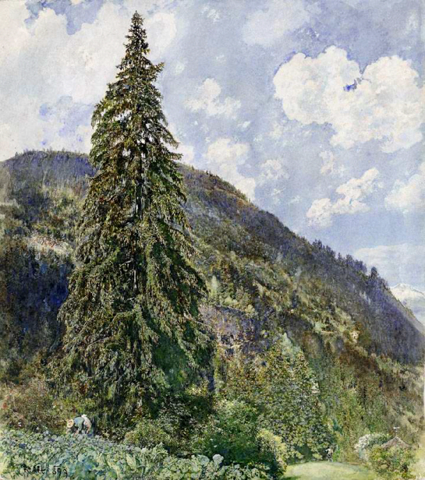 Alt_Rudolf von_Die alte Fichte in Bad 1Gastein_1899 (1).jpg