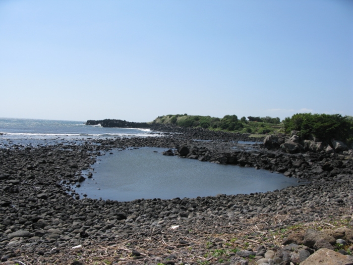 2009벌초IMG_2348.JPG