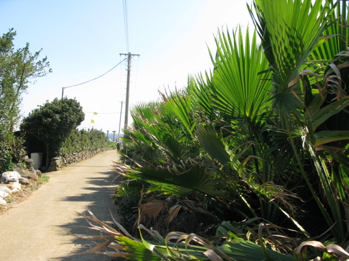 2009벌초IMG_2366.JPG