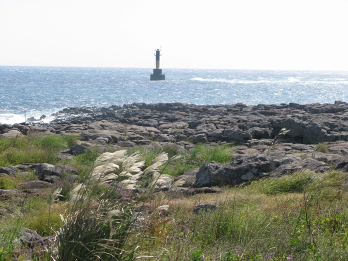 2009벌초IMG_2371.JPG