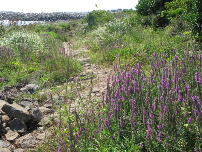 2009벌초IMG_2374.JPG