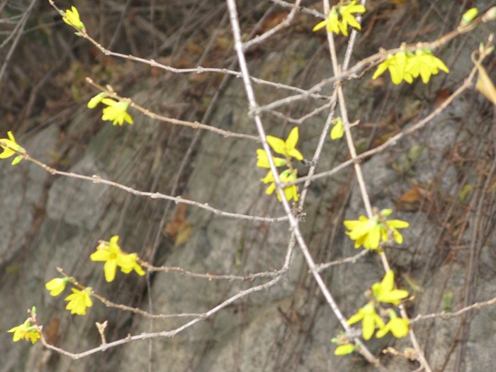 IMG_1764.JPG
