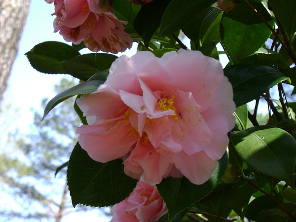 b-DSC03335.JPG