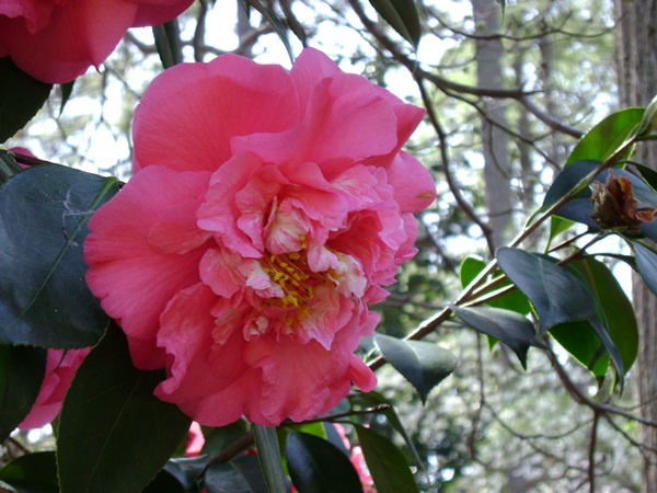 b-DSC03347.JPG