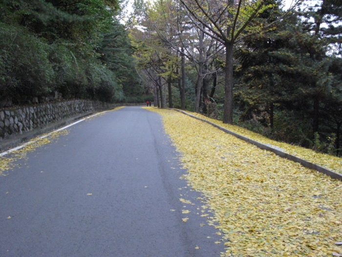2009.현충원IMG_3082.JPG