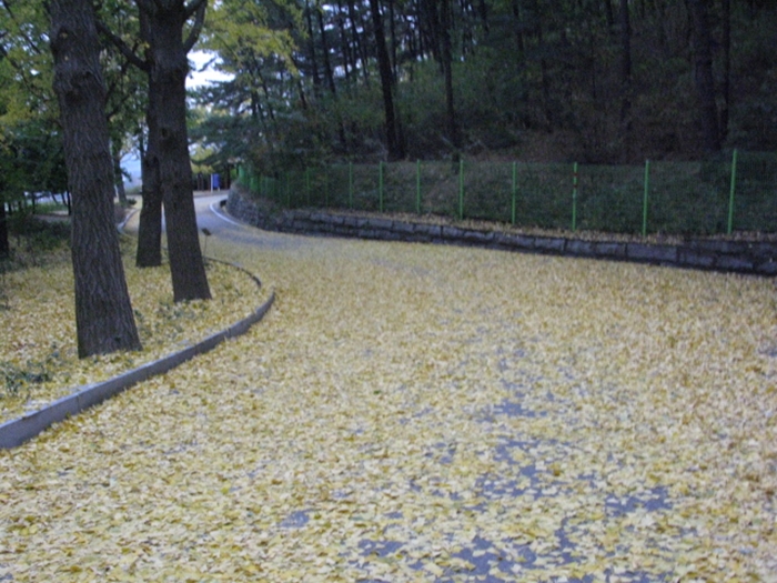 2009.현충원IMG_3103.JPG