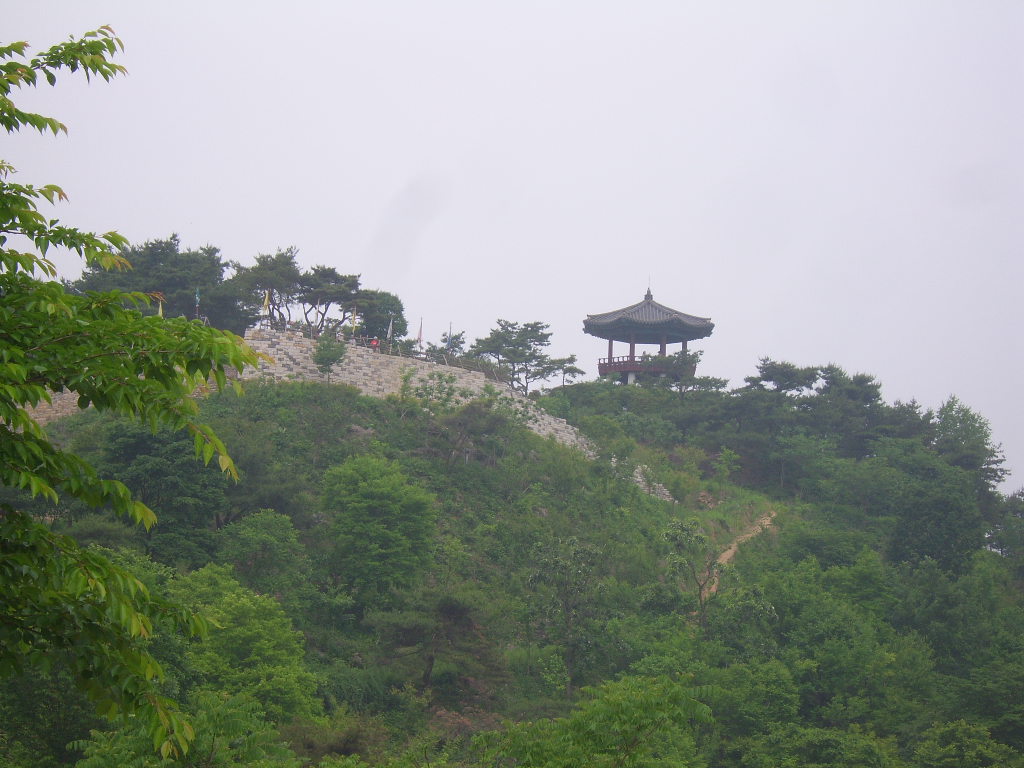 SV101255.JPG