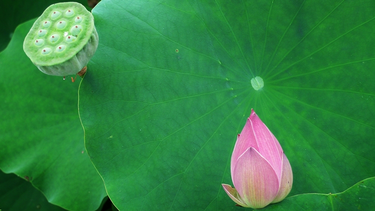dm-20100723-46.JPG