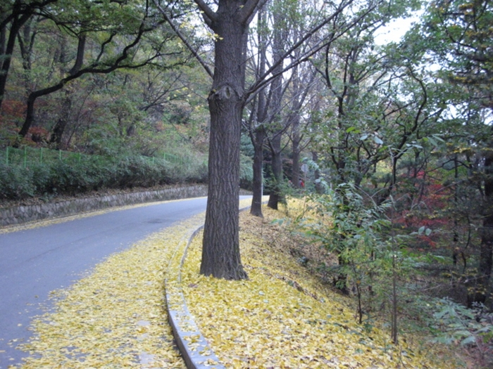 2009.현충원IMG_3086.JPG