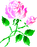 color_flower78.gif