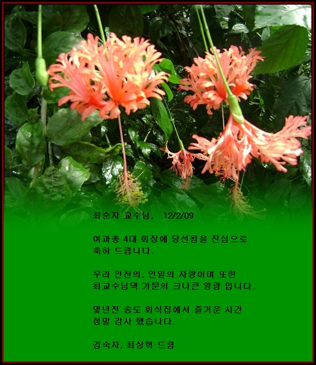 AA-b-DSC01770.JPG