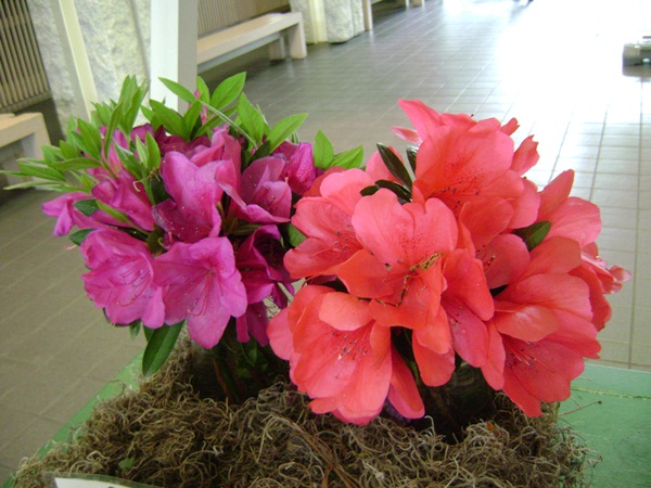 c-DSC04107.JPG