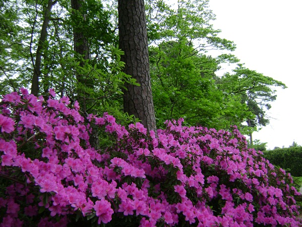 c-DSC04139.JPG