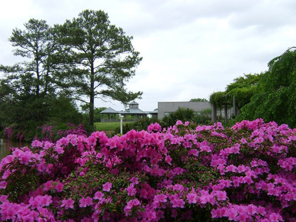 c-DSC04198.JPG