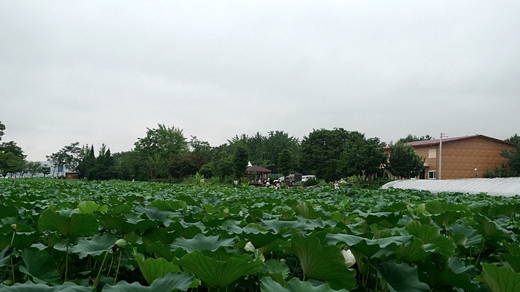 dm-20100723-57.JPG