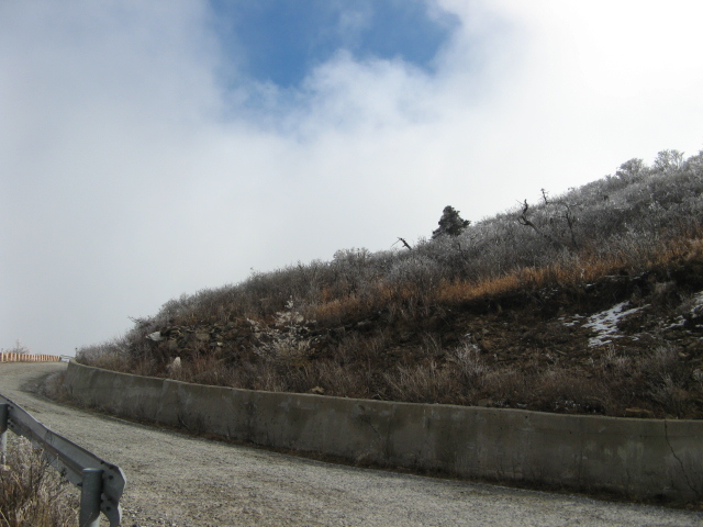 2008.11(kang wondo) 037.jpg