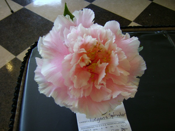 a-DSC03187.JPG