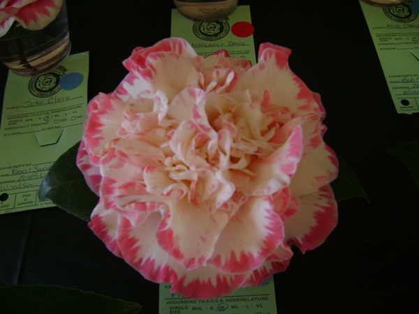 a-DSC03204.JPG