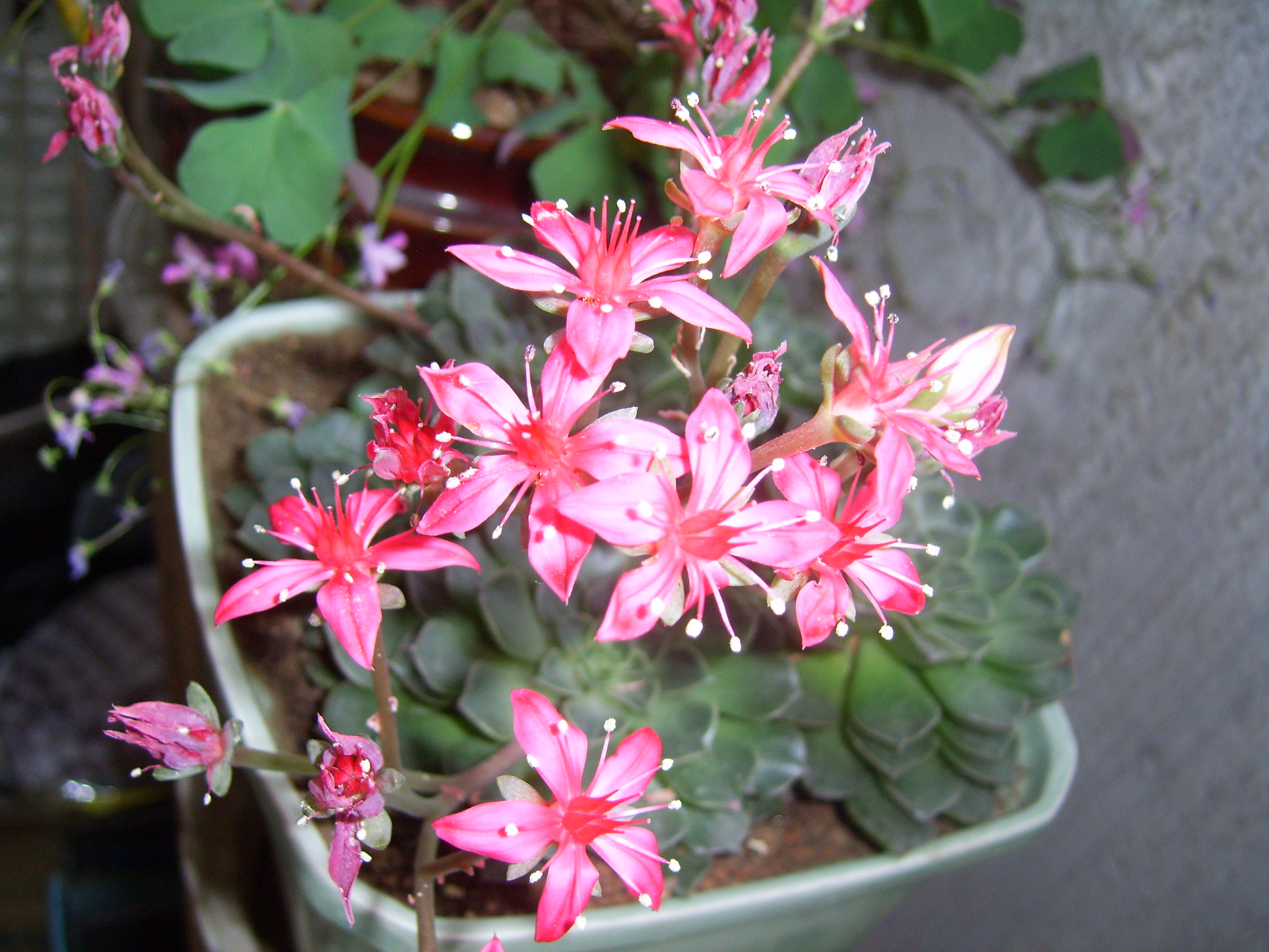 SV101357.JPG