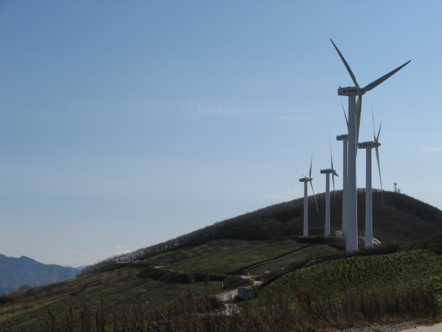 2008.11(kang wondo) 201.jpg