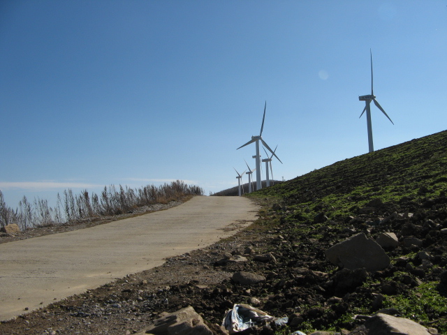 2008.11(kang wondo) 216.jpg