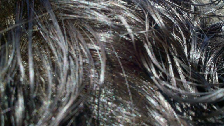 2011-03-16_14-20-11_557.jpg