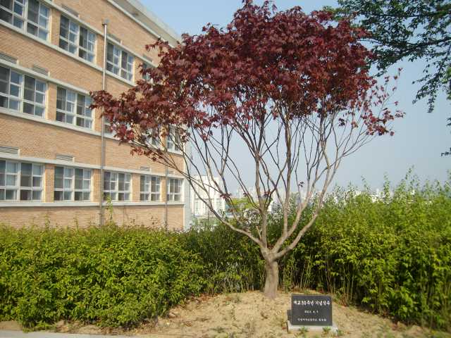 SANY4216.JPG