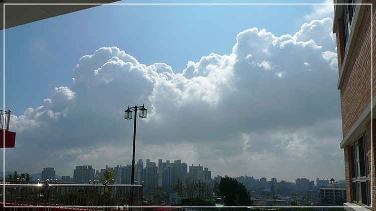inil-20100727-09.JPG