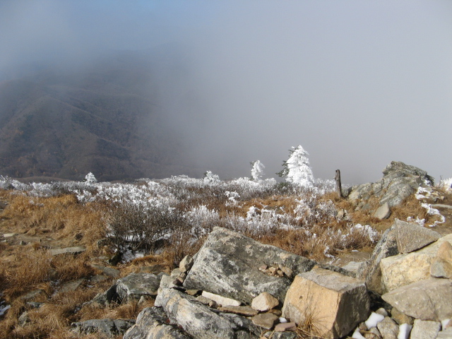 2008.11(kang wondo) 068.jpg