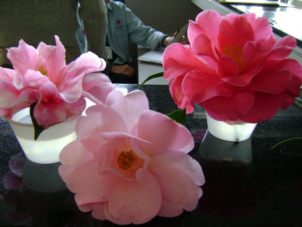 a-DSC03292.JPG