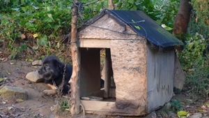 hanam-20090930-63-crop.JPG