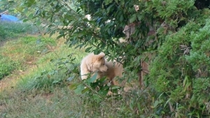 hanam-20090930-64-crop.JPG