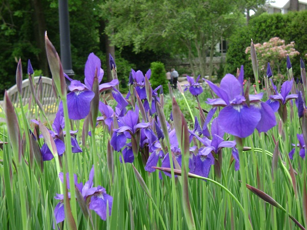 d-DSC04142.JPG