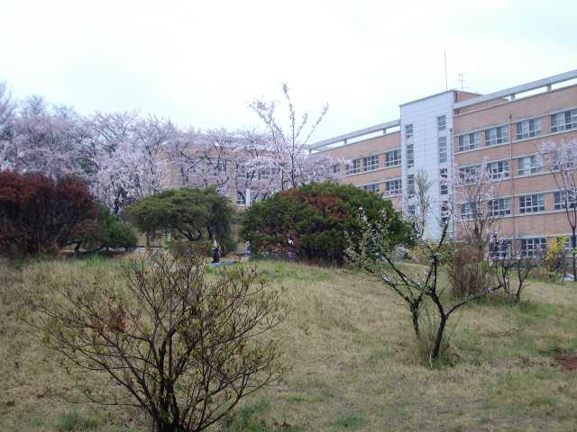 SANY4716.JPG