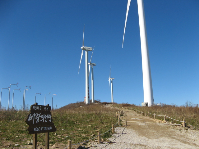2008.11(kang wondo) 229.jpg