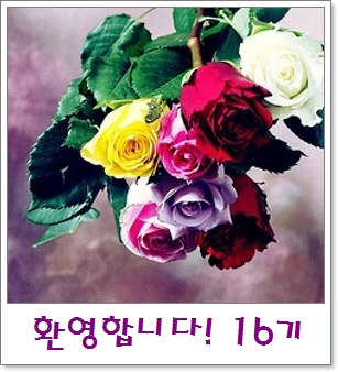 rose.jpg