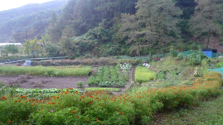 hanam-09-20090930.JPG
