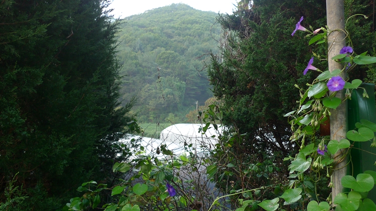 hanam-15-20090930.JPG