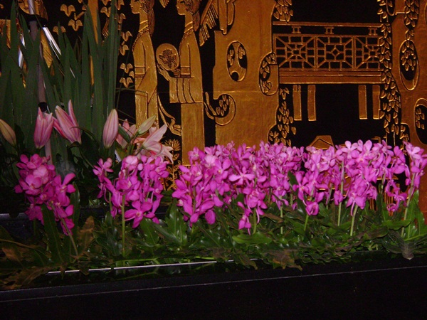 b-DSC02473.JPG
