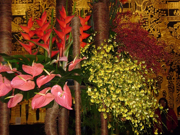 b-DSC02475.JPG