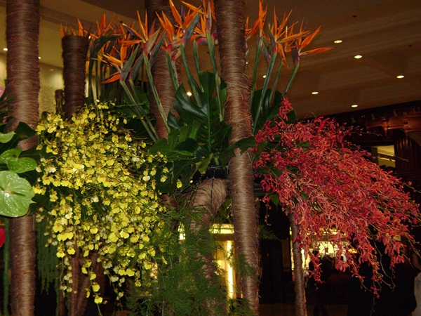 b-DSC02476.JPG
