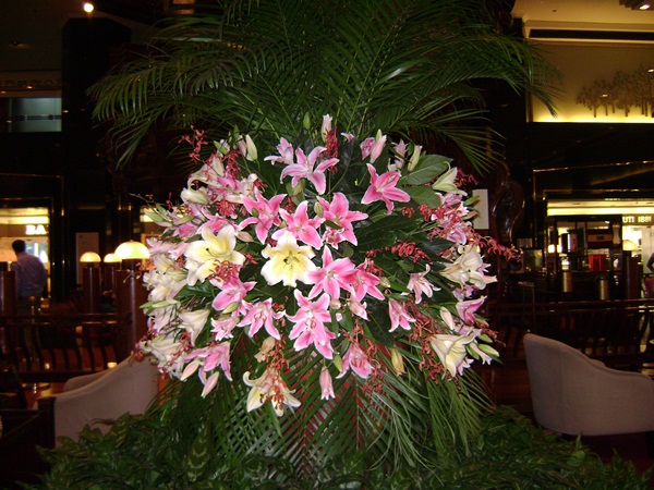 b-DSC02480.JPG