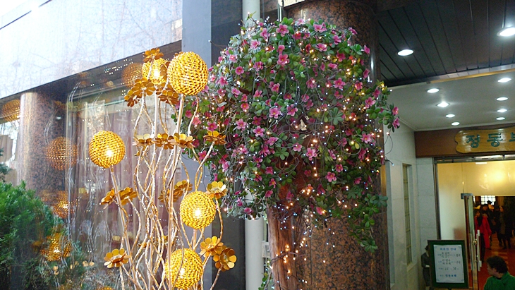 inil-20091220-25.JPG