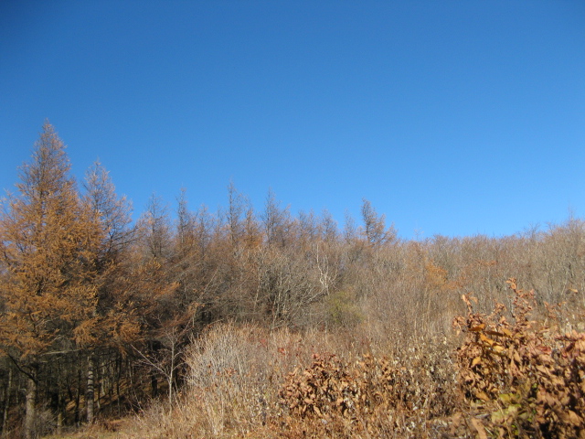 2008.11(kang wondo) 261.jpg