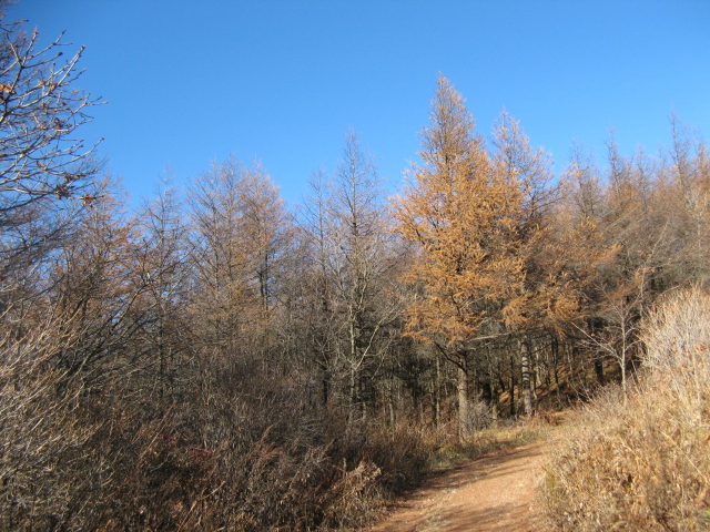 2008.11(kang wondo) 262.jpg