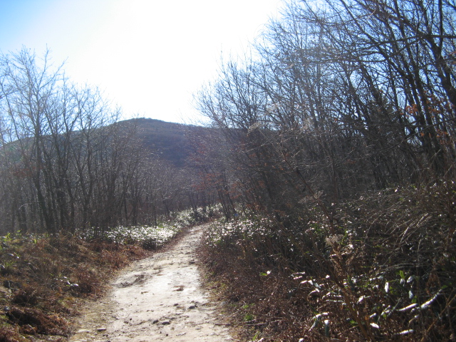 2008.11(kang wondo) 263.jpg