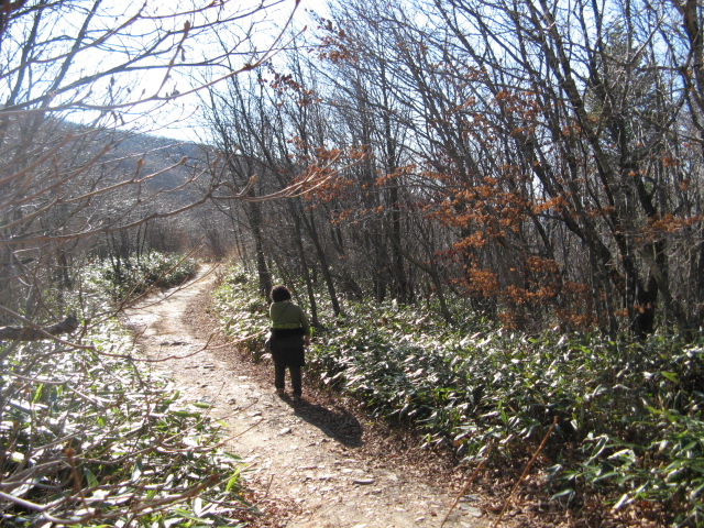 2008.11(kang wondo) 264.jpg